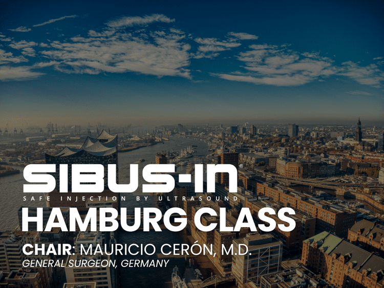 Класс SibUS-In® в Гамбурге