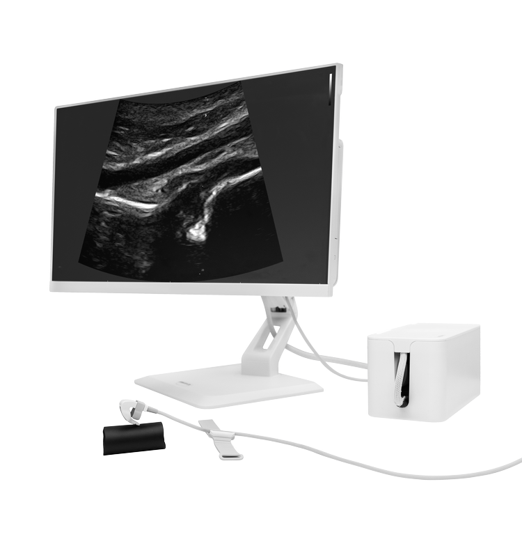 Medical ultrasound monitor displaying cutaneous layers, connected to attached probes.